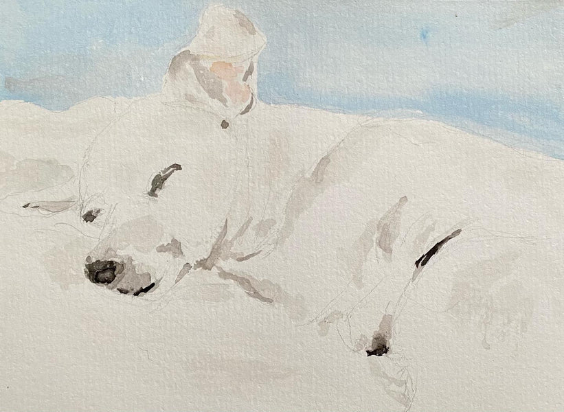 Pet portraits