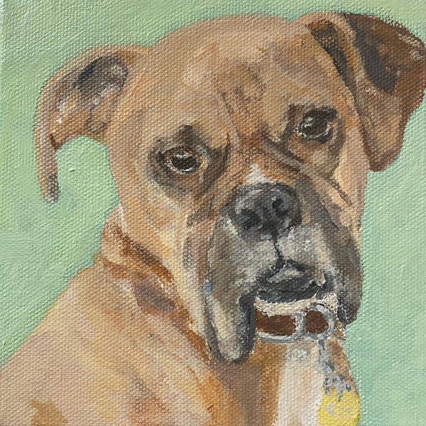A dog named Bruce